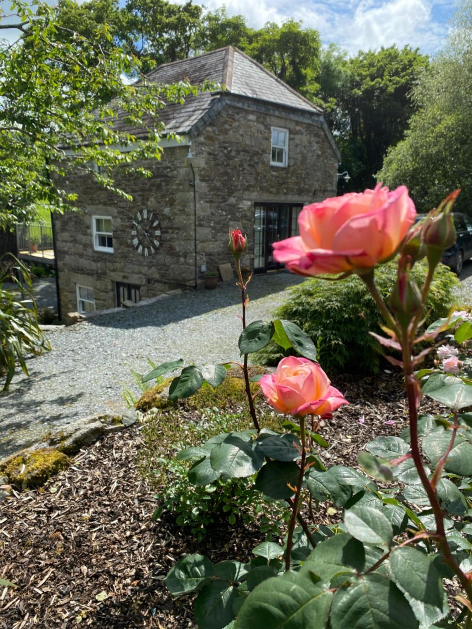 Hideaway On The Edge Of Bodmin Moor Holiday home Launceston